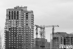 Фото: Андрей Заржецкий