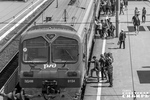 В период дефицита топлива на заправках часть владельцев машин освоили поездки на электричках. В идеале городская железнодорожная сеть может существенно разгрузить автомагистрали. А поездка в довольно комфортном вагоне действительно обходится недорого: Речной вокзал — Обское море — всего 50 рублей. Фото: Андрей Заржецкий