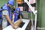 Специалисты ветклиники проводят обследование пушистого пациента. Фото: архив ИД 
«Советская Сибирь»