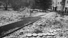 Асфальтированная дорожка через двор — один из трех выполненных нынешним летом наказов от жителей дома на ул. Добролюбова. Фото: Вячеслав Ведерников