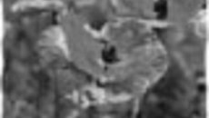 114-27.jpg