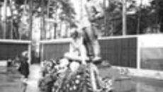 128-23.jpg