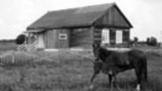 135-21.jpg