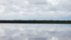 143-25.jpg