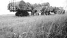 147-01.jpg