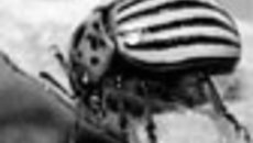 148-40.jpg