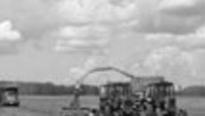 153-22.jpg