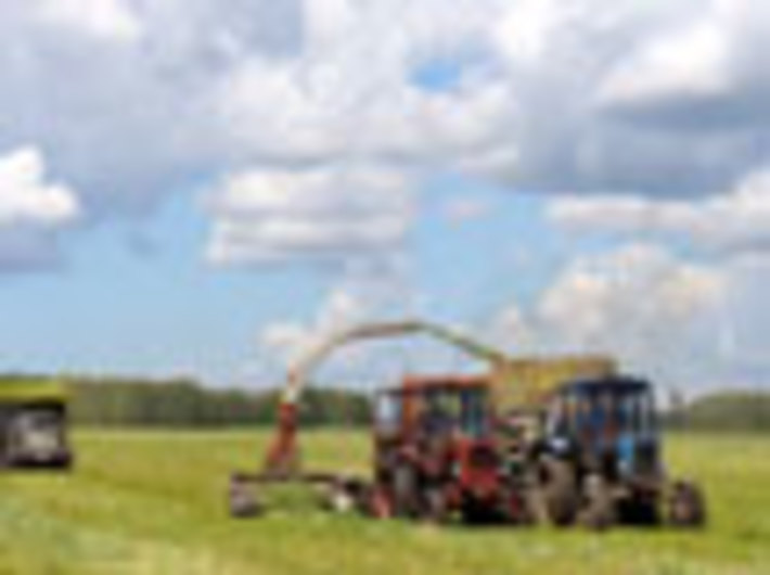 158-03.jpg