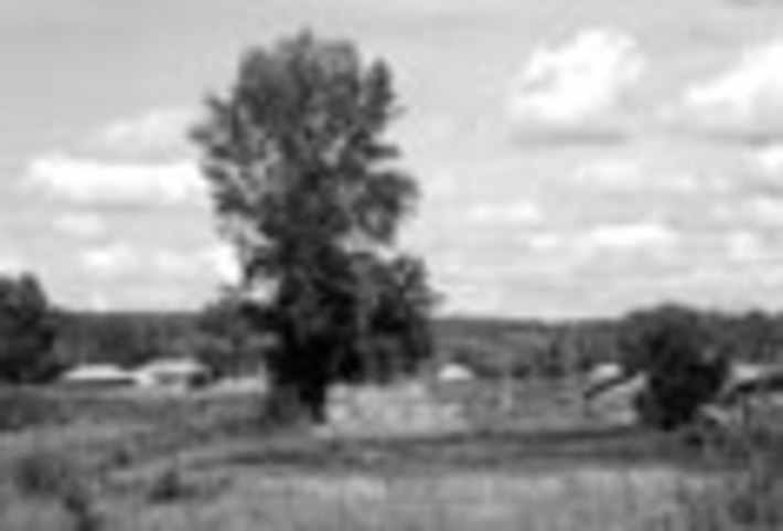 161-05.jpg
